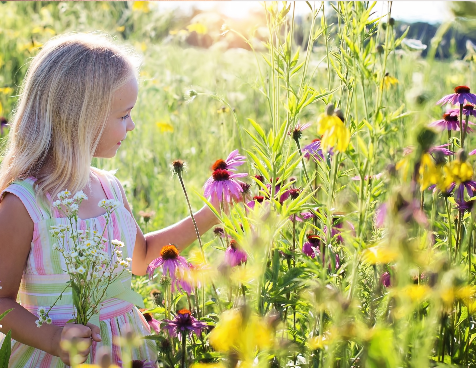 100+ Floral Inspired Names for Girls