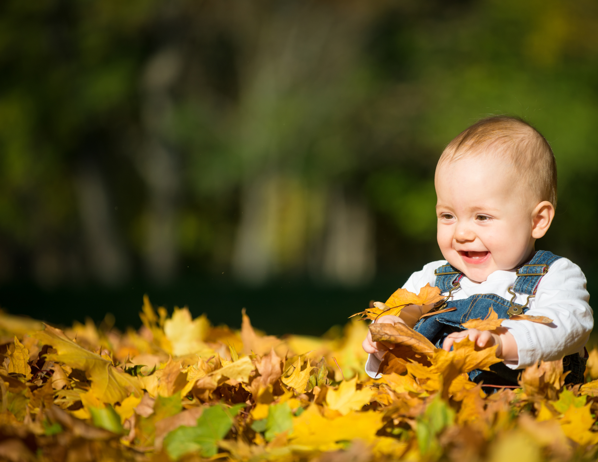 100+ Nature Inspired Names for Girls