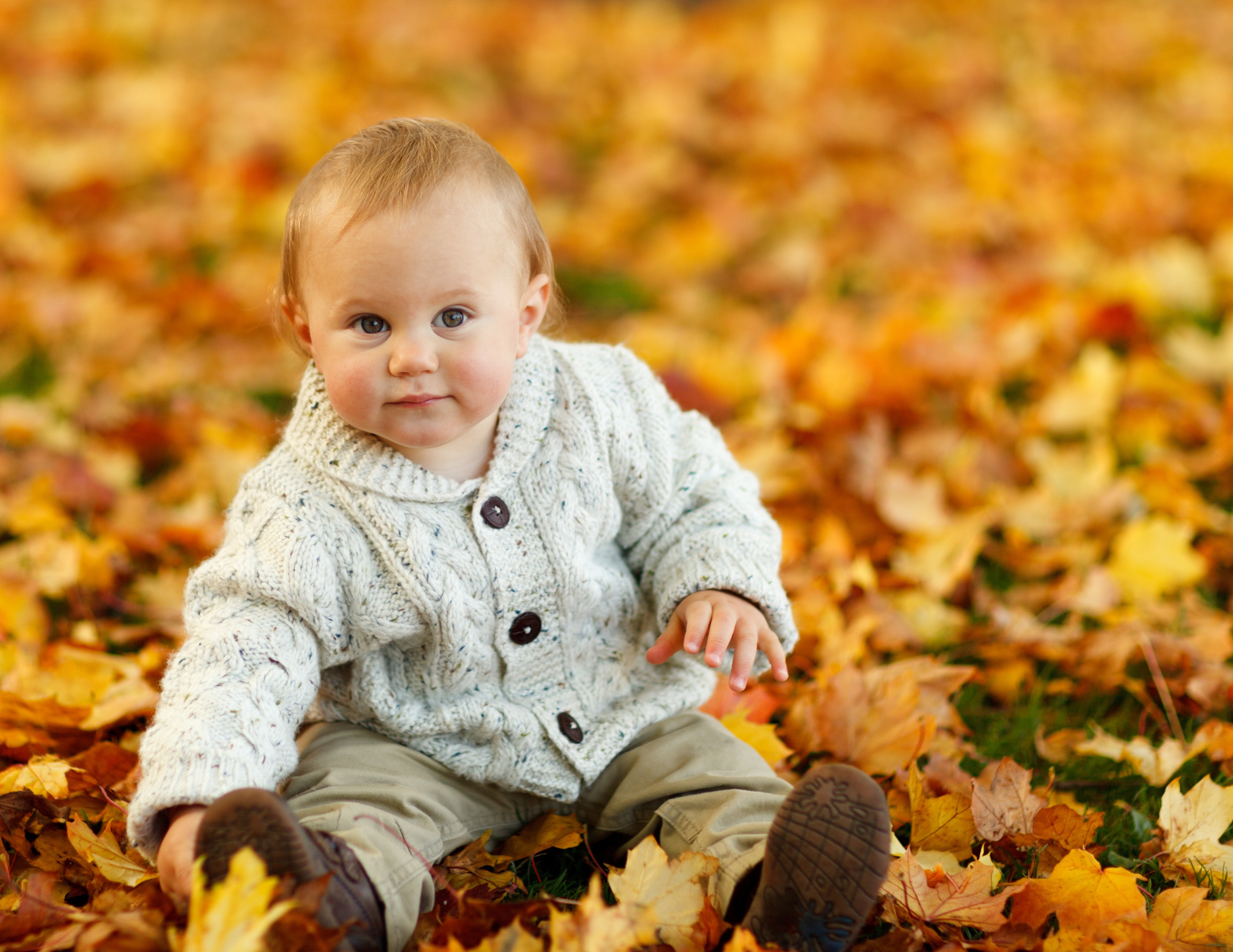 Autumn-Inspired Baby Names: Cozy and Charming Options for Your Little One