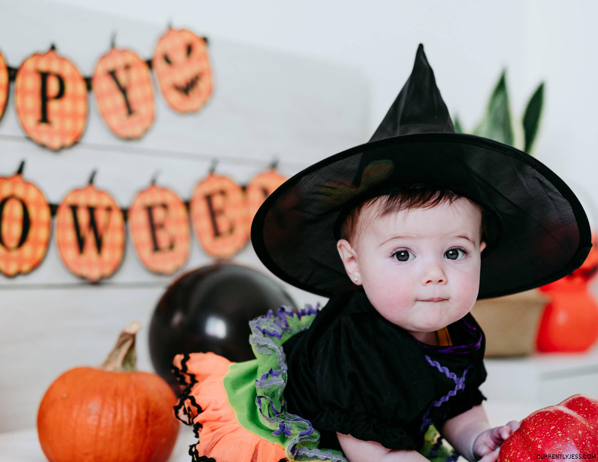 85+ Spook-tacular Baby’s First Halloween Quotes and Captions You’ll Love