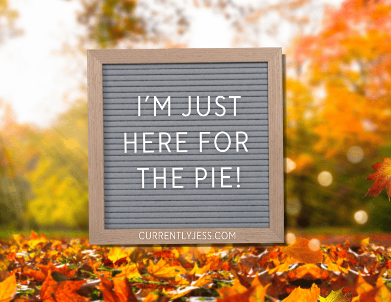 Cheeky letter board quote perfect for fall home decor. 