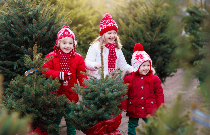 Christmas Tradition - Picking Out a Christmas Tree